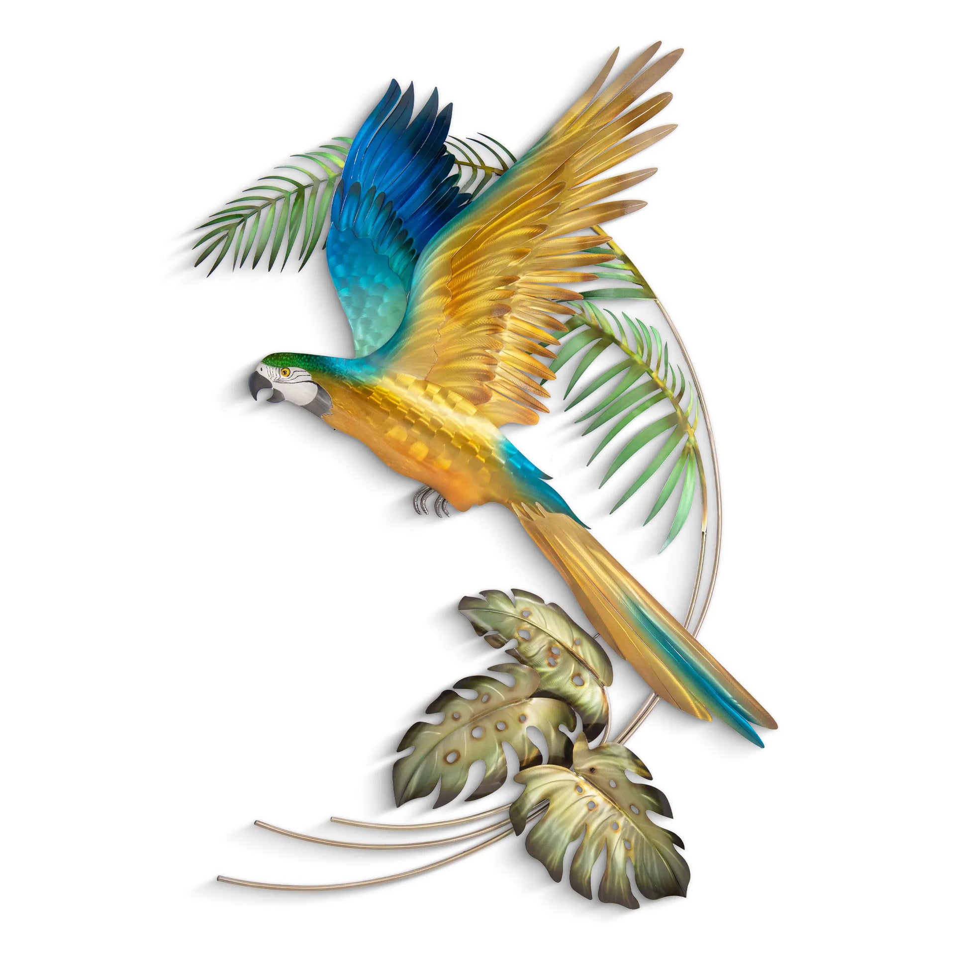 Macaw Flying