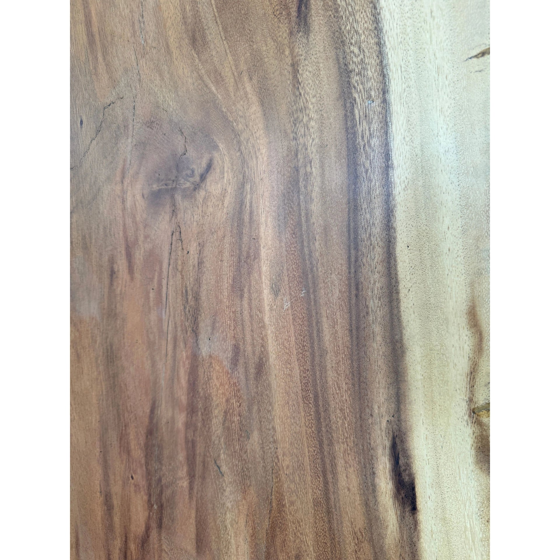 Live Edge Slab Table (3A) Broward Design Center