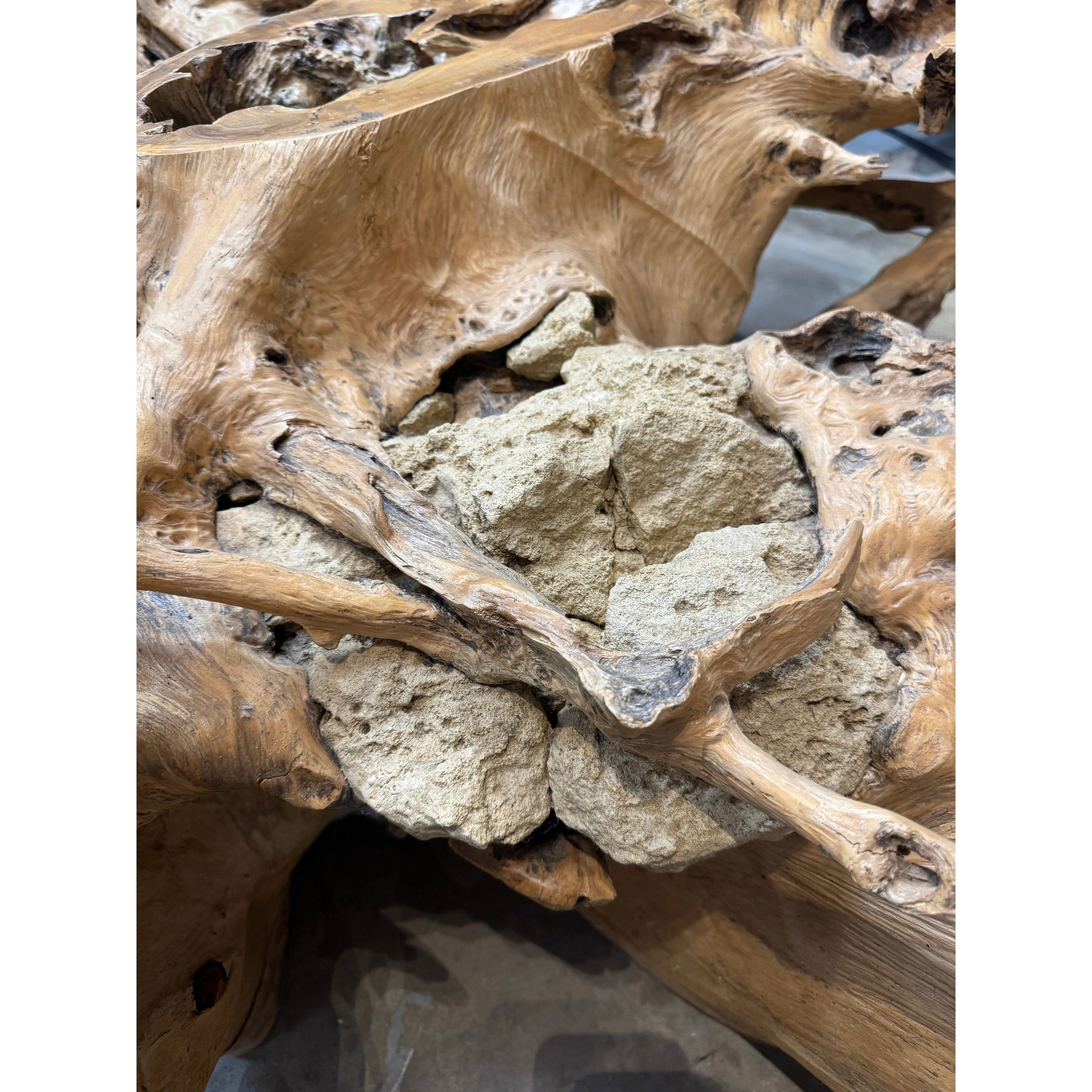 XL Teak Root Coffee Table The Broward Design Center