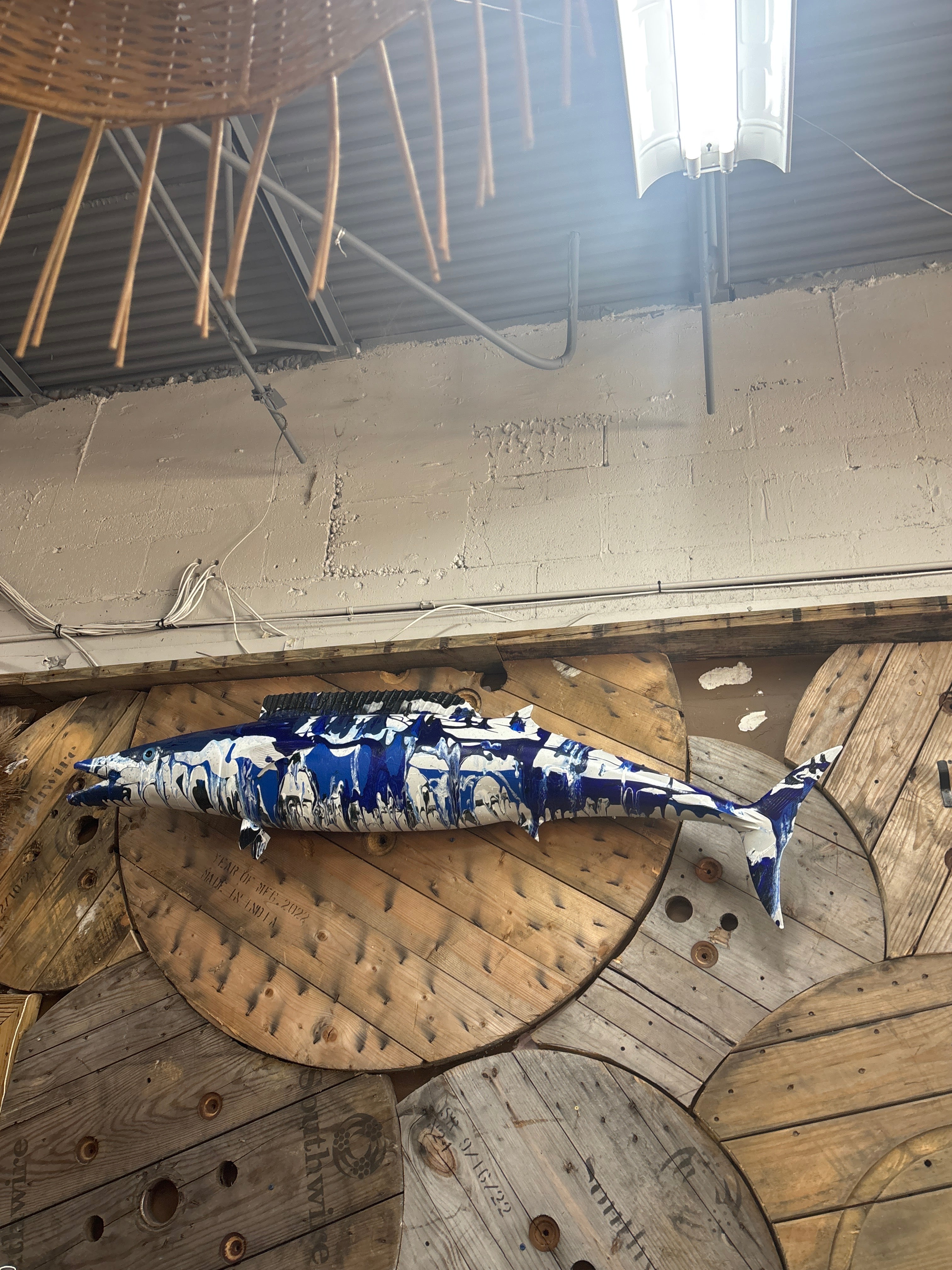 Artsy Blue Sailfish Mount The Broward Design Center