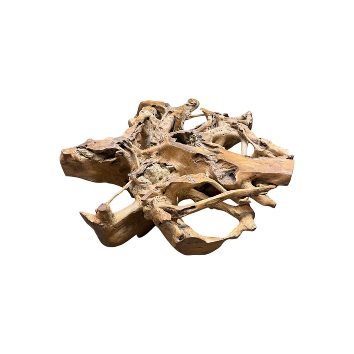 XL Teak Root Coffee Table The Broward Design Center