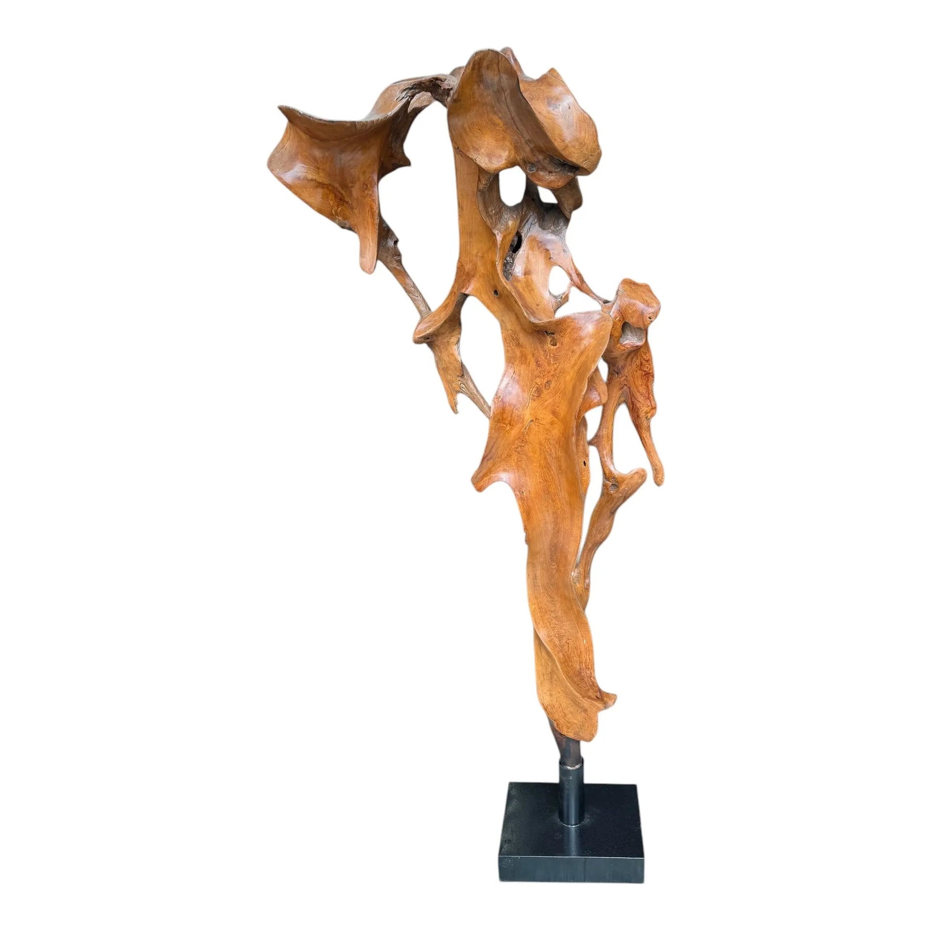 Teak Sculpture Broward Design Center