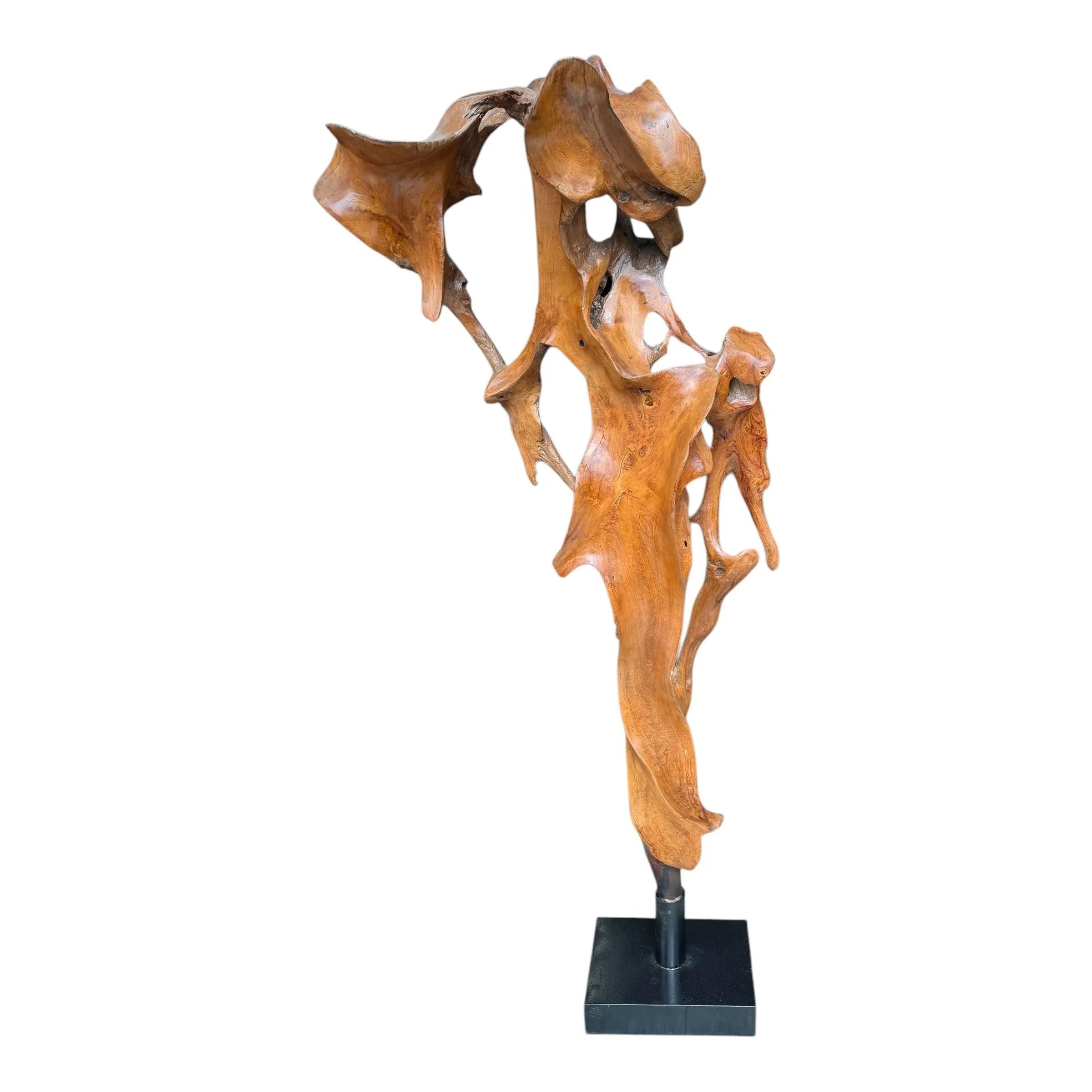 Teak Sculpture Broward Design Center