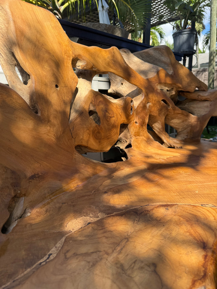 Teak Root Sofa XXL (C) Broward Design Center