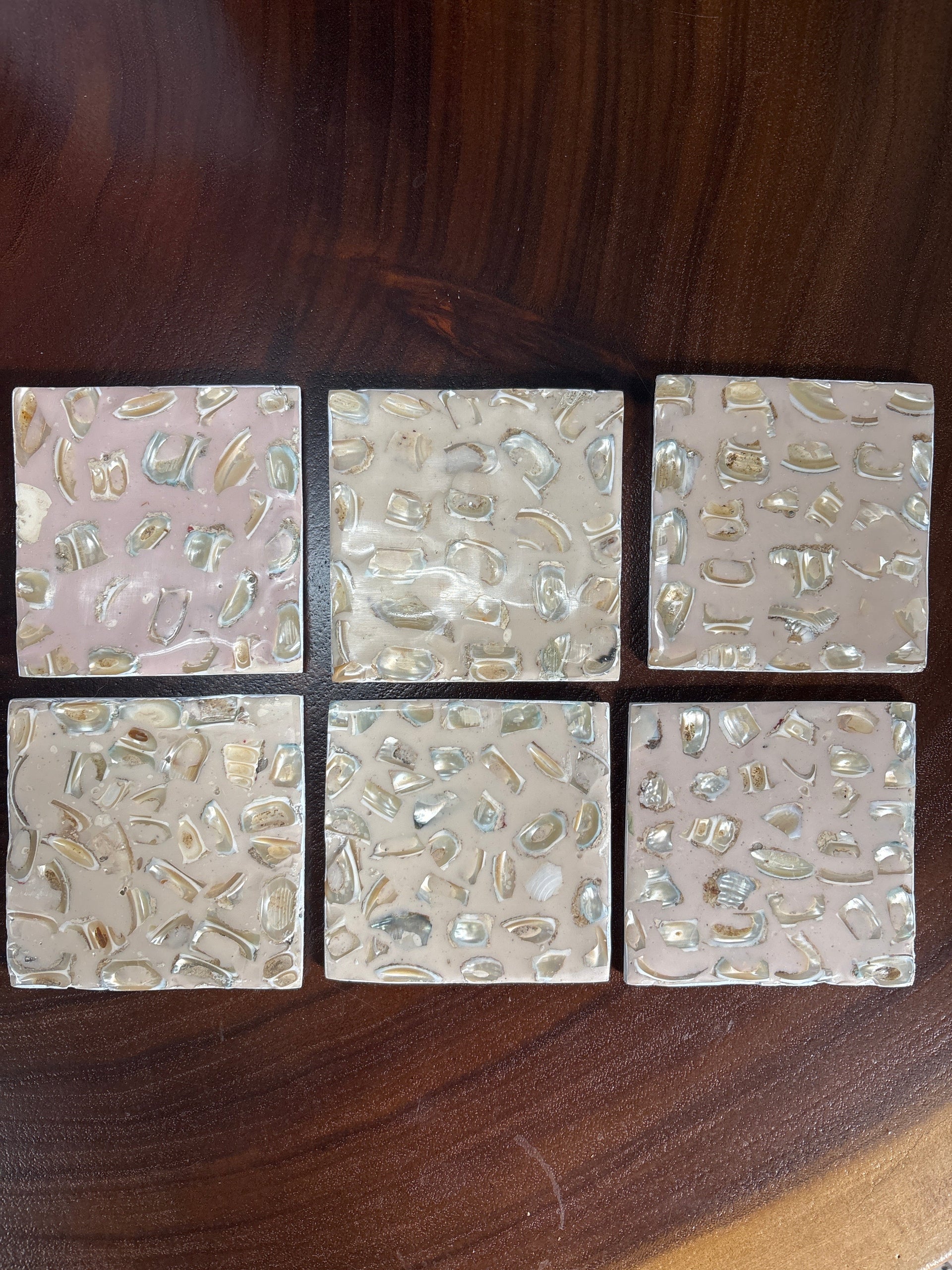 Ceramic Seashell Coasters Set of 6 The Broward Design Center