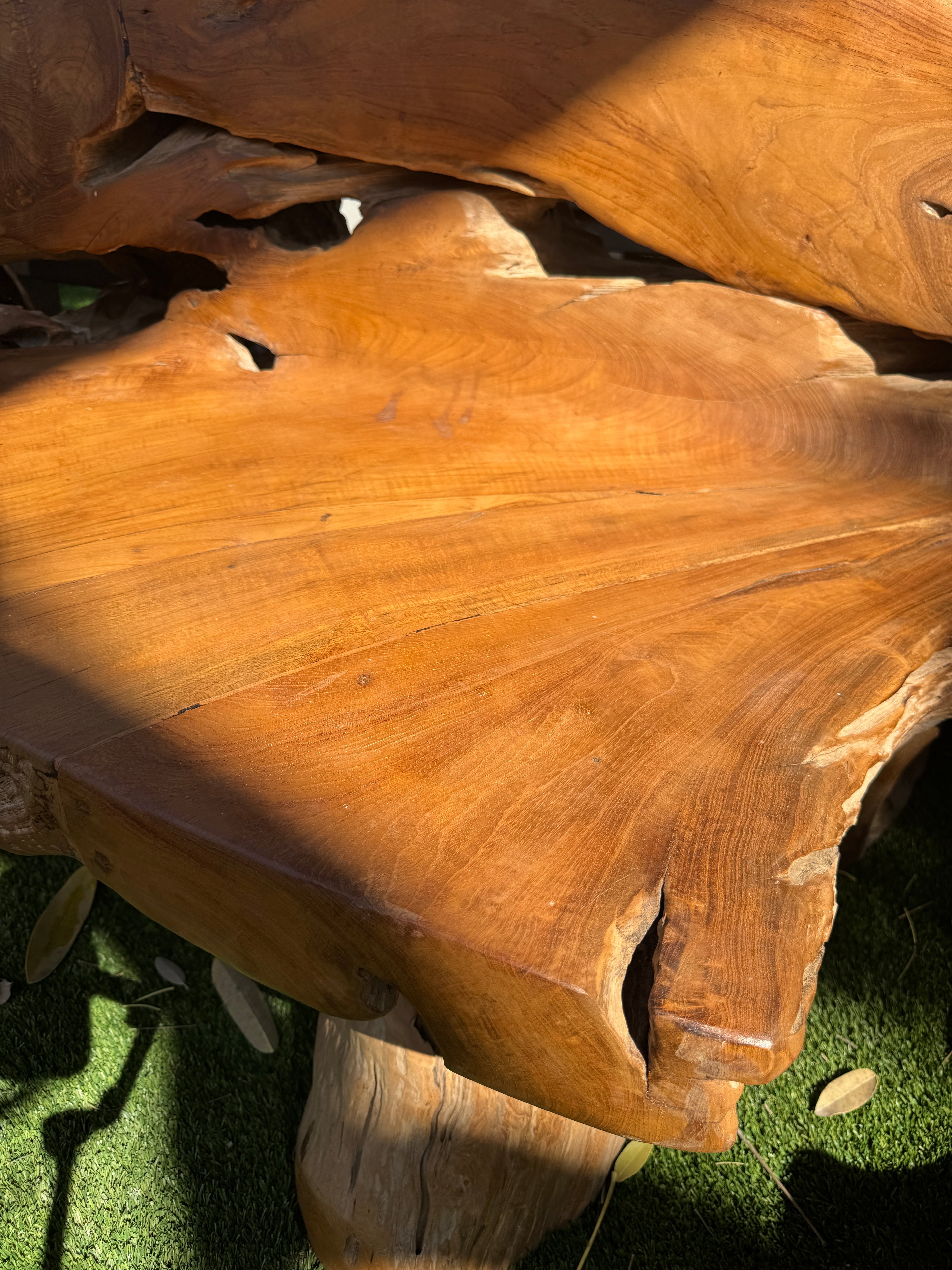 Teak Root Sofa XXL (A) Broward Design Center