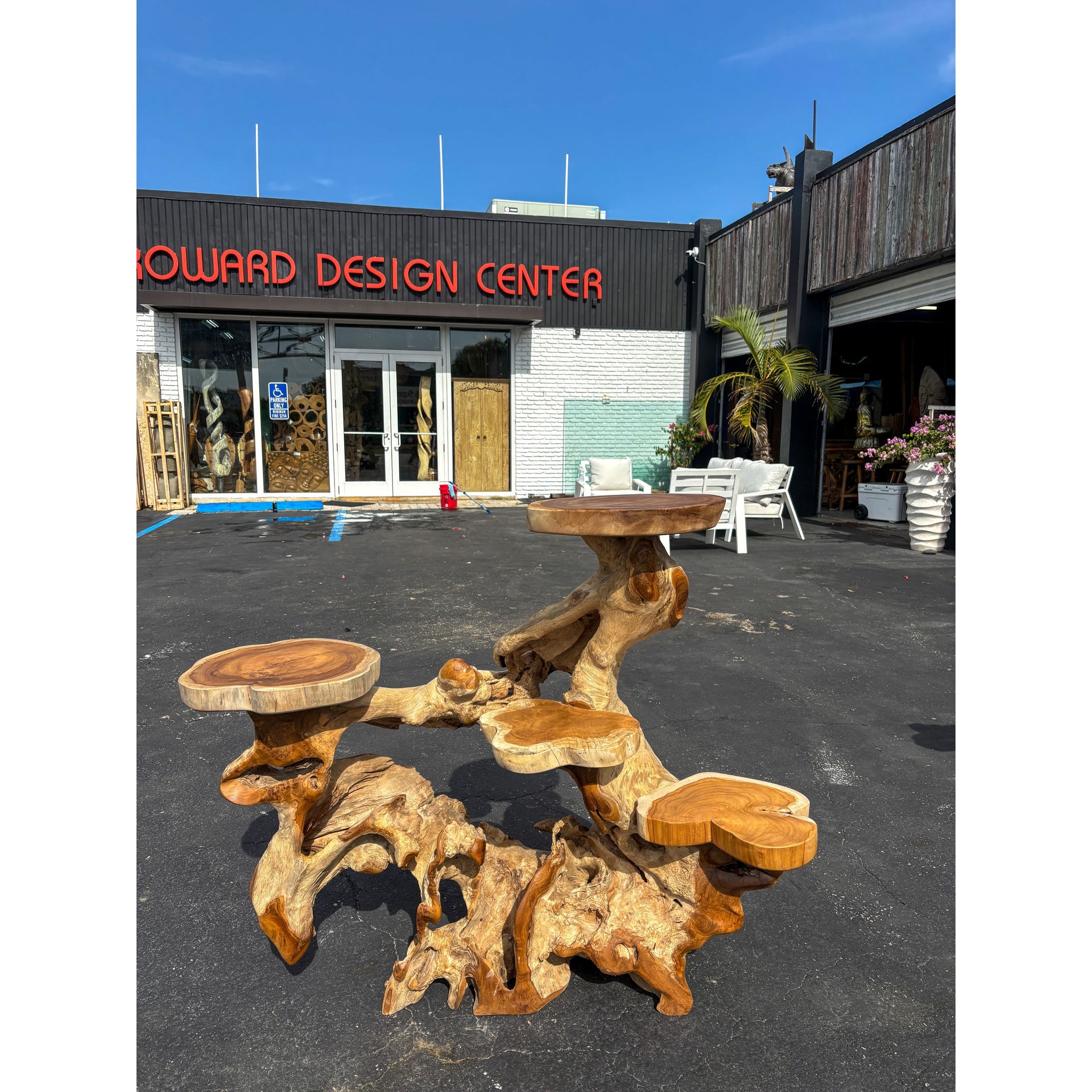 ORGANIC TEAK DISPLAY LARGE - A Anteak