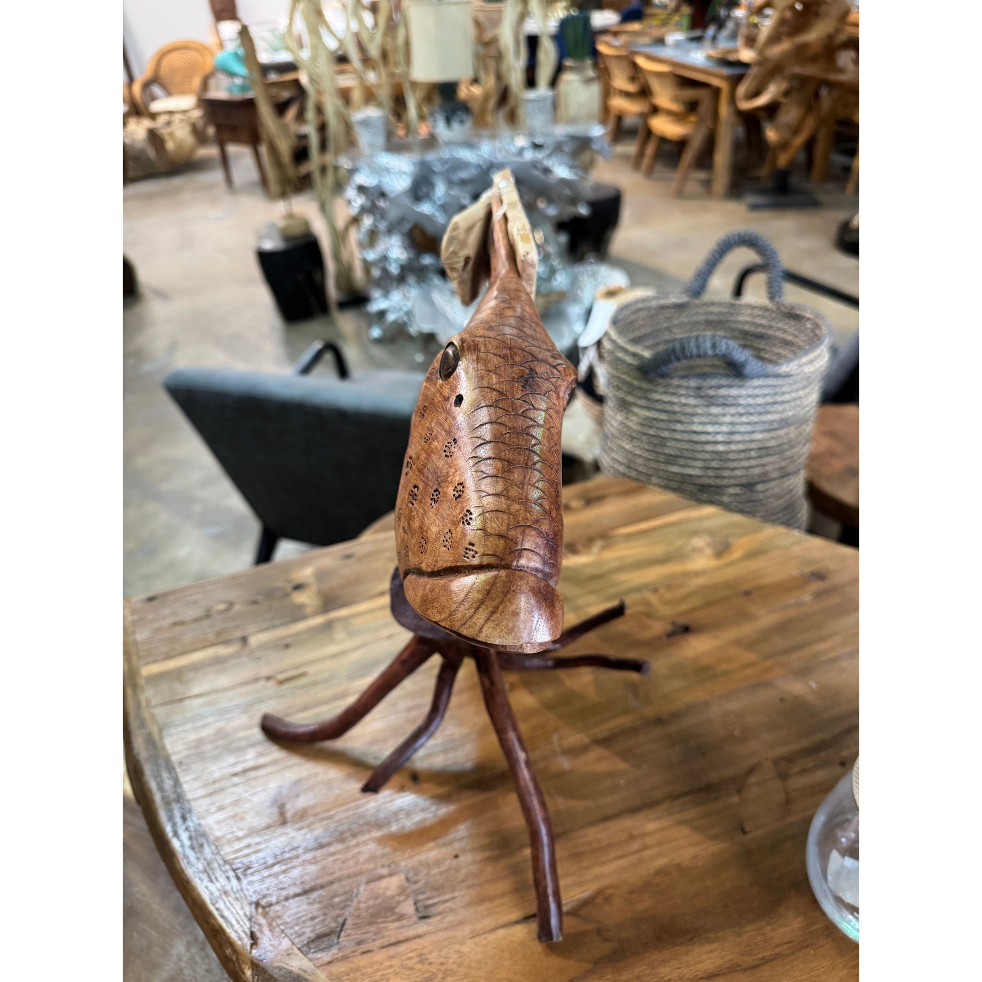 Teak Hogfish on Stand