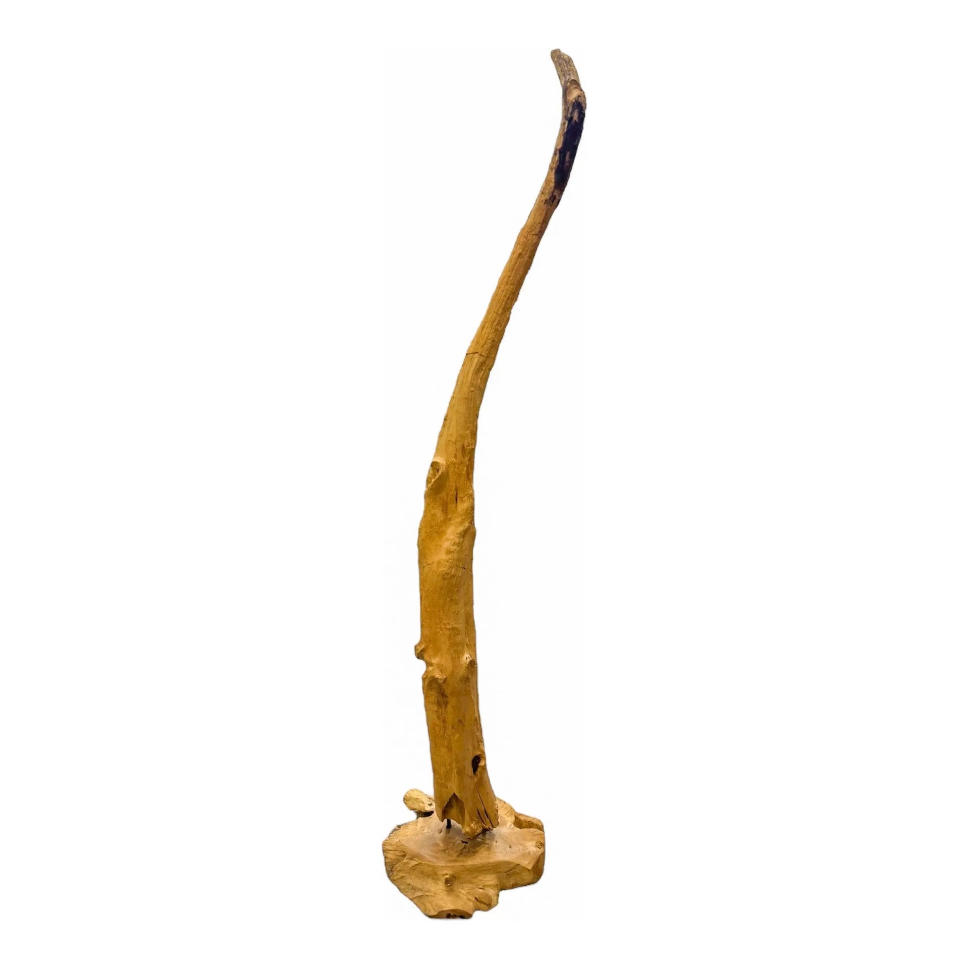 Standing Teak Deco (D) Broward Design Center