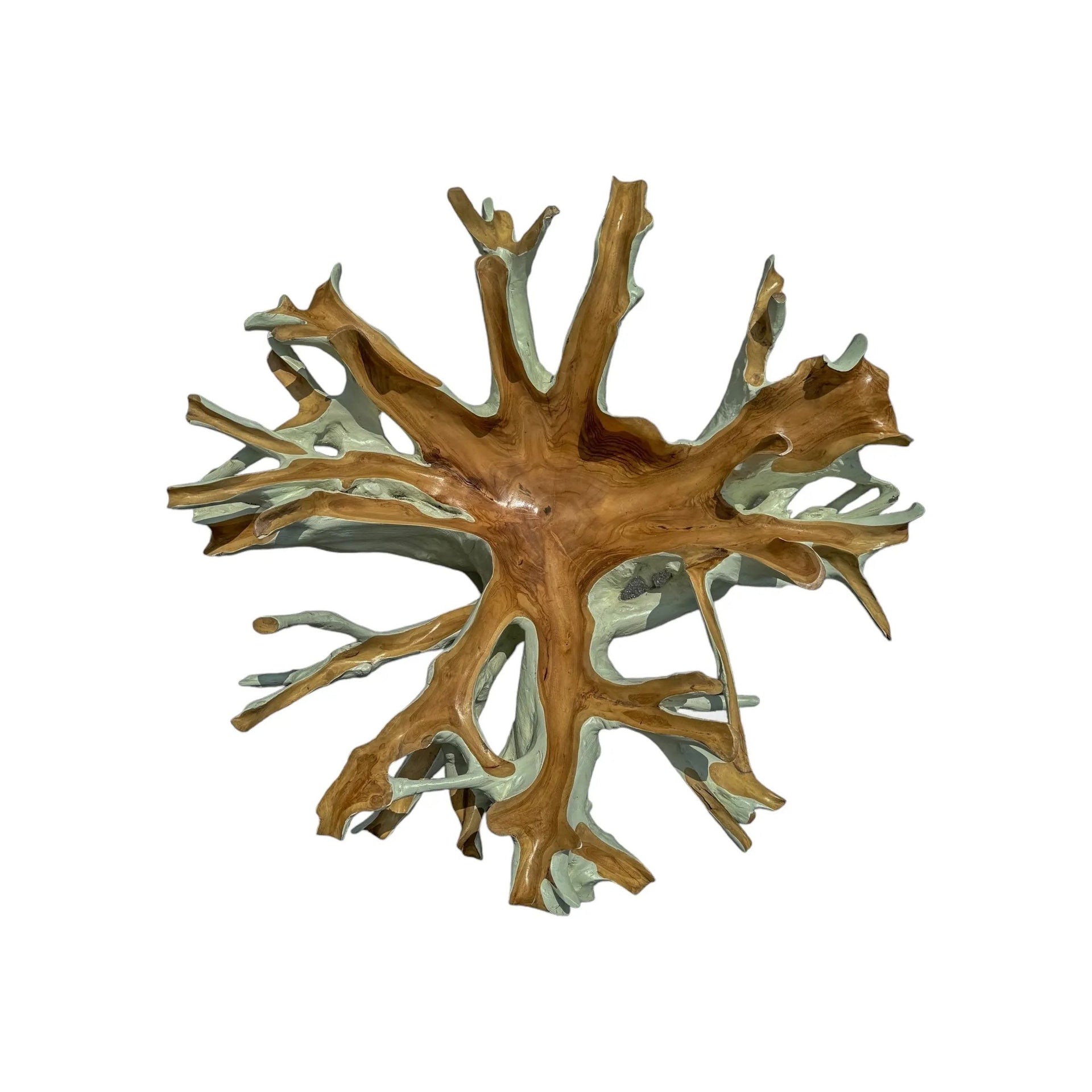 Teak Root Dining Table (A) (White) Broward Design Center