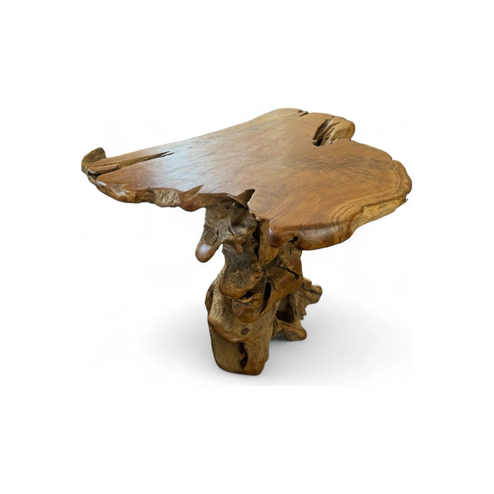 Teak Root Slab Top Bar Table XL (C) Broward Design Center
