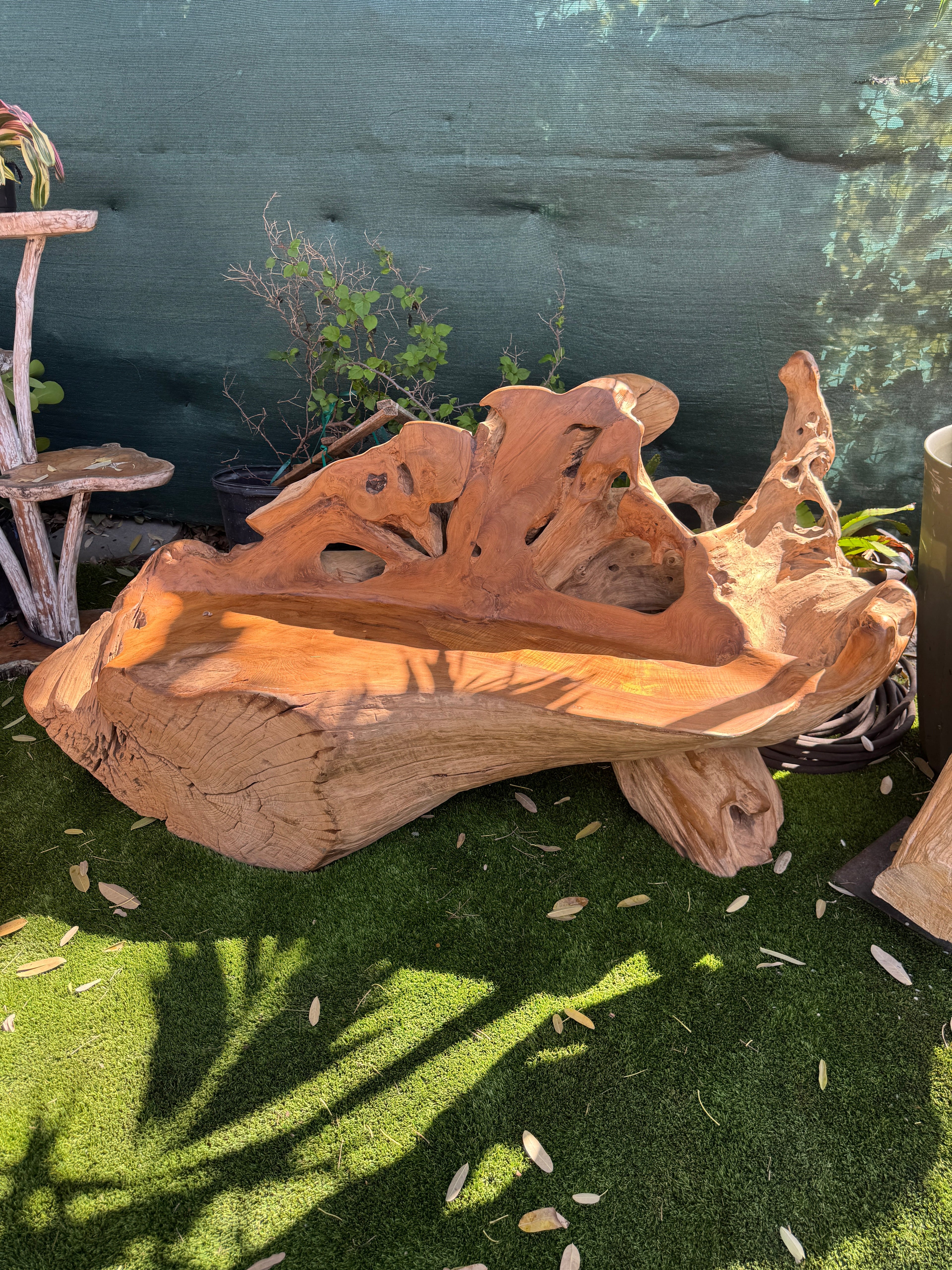 Teak Root Sofa XXL (B) Broward Design Center