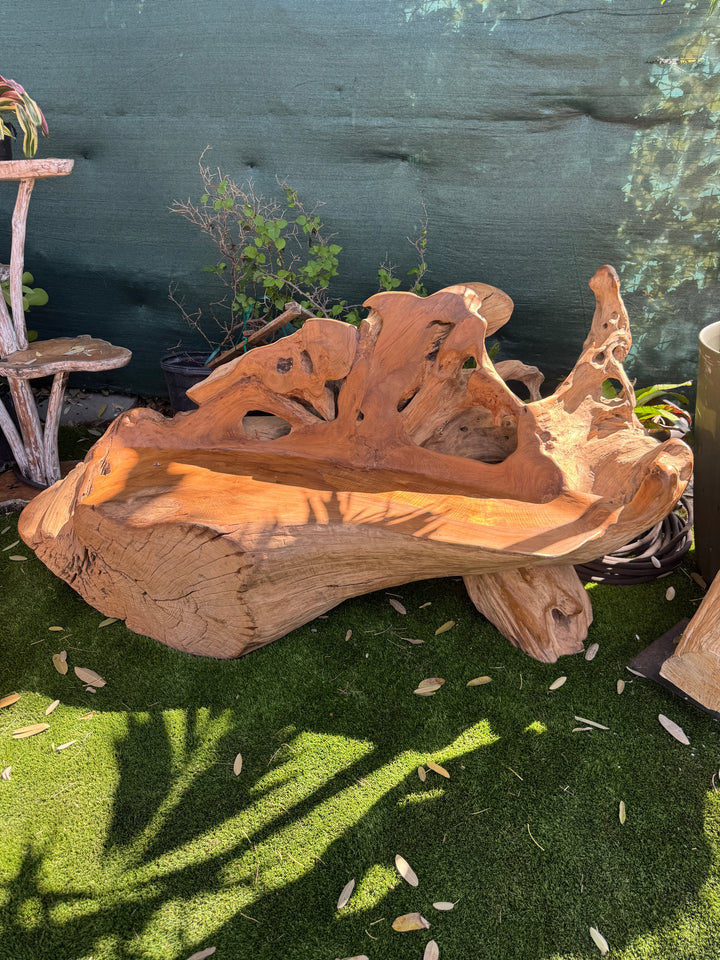 Teak Root Sofa XXL (B) Broward Design Center