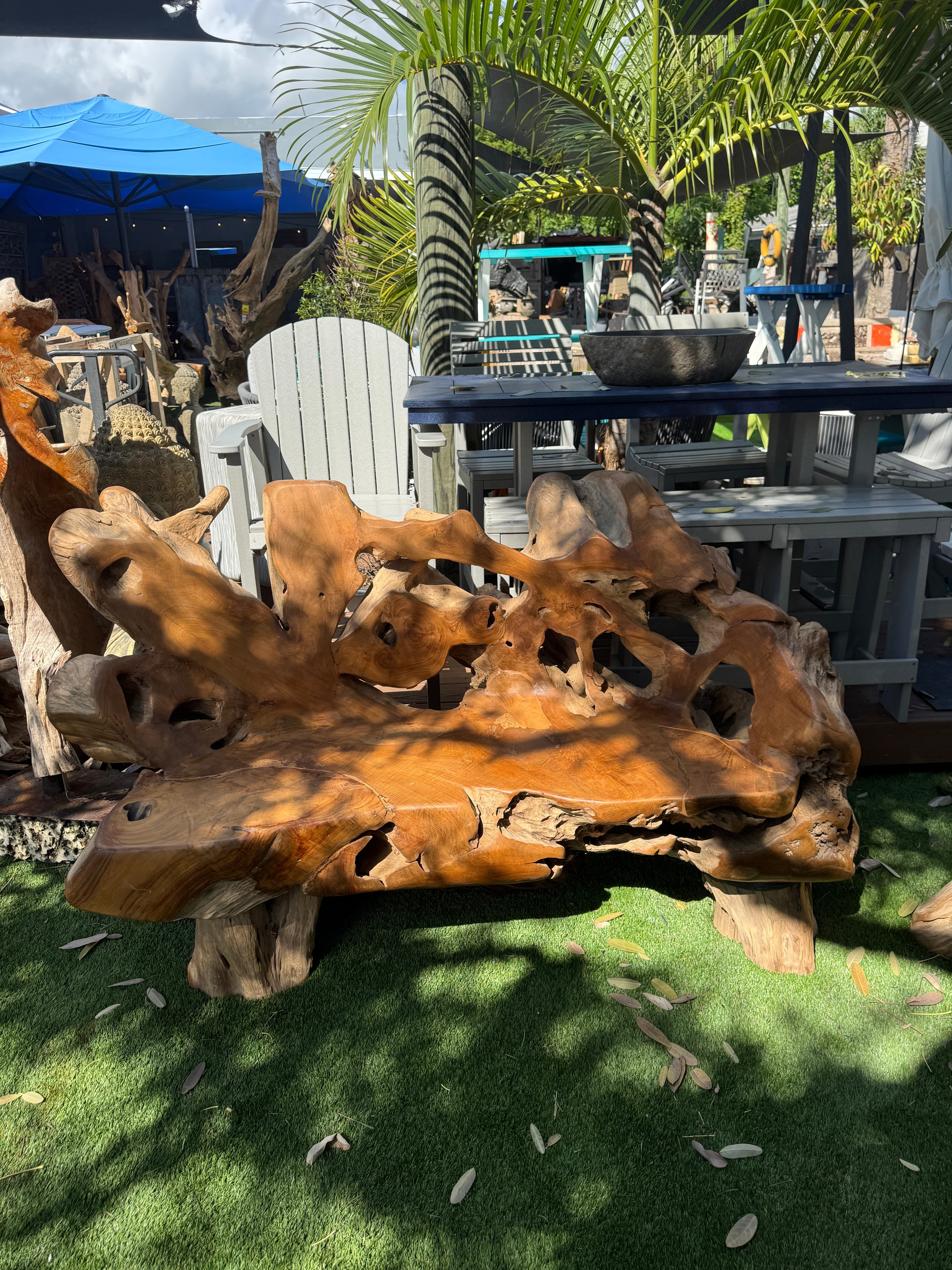 Teak Root Sofa XXL (C) Broward Design Center