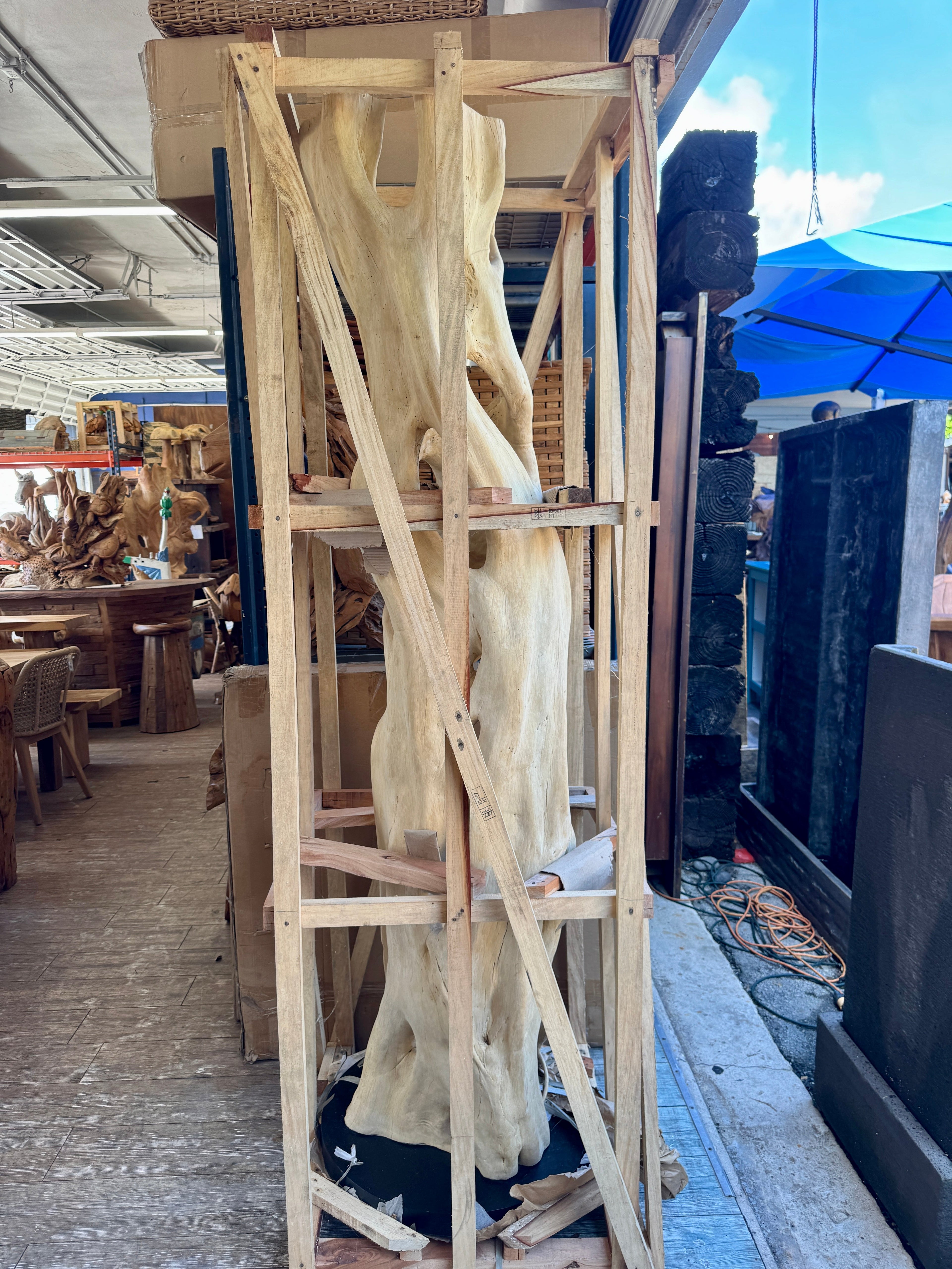 Bleached Banyan Deco On Stand XXL (A) Broward Design Center