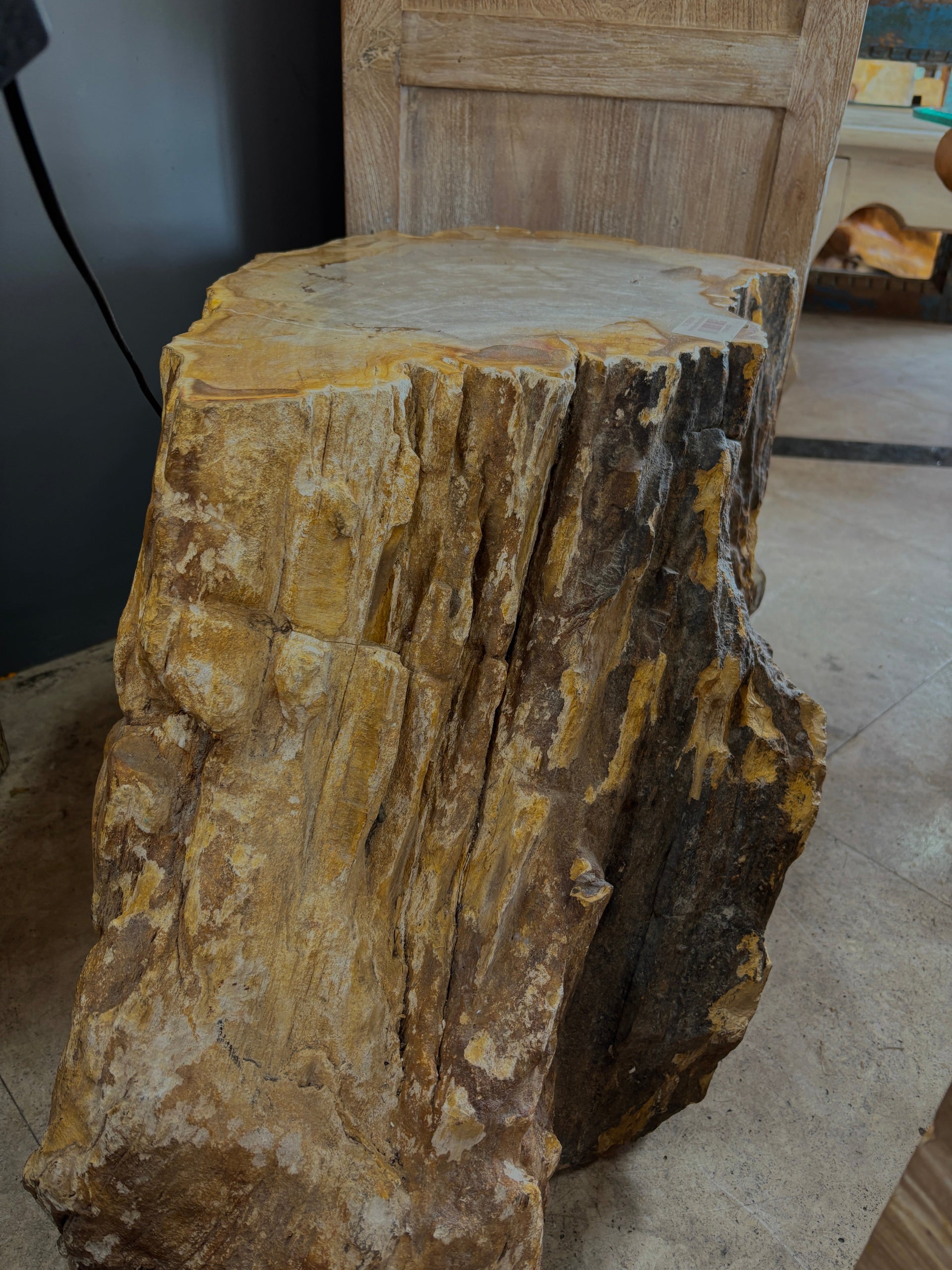 Petrified Wood Stump Broward Design Center