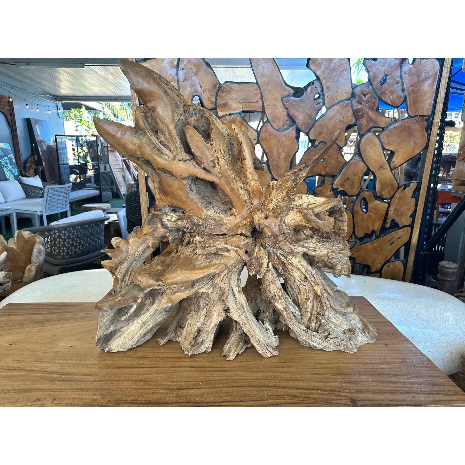 Teak Turtle 24” Anteak