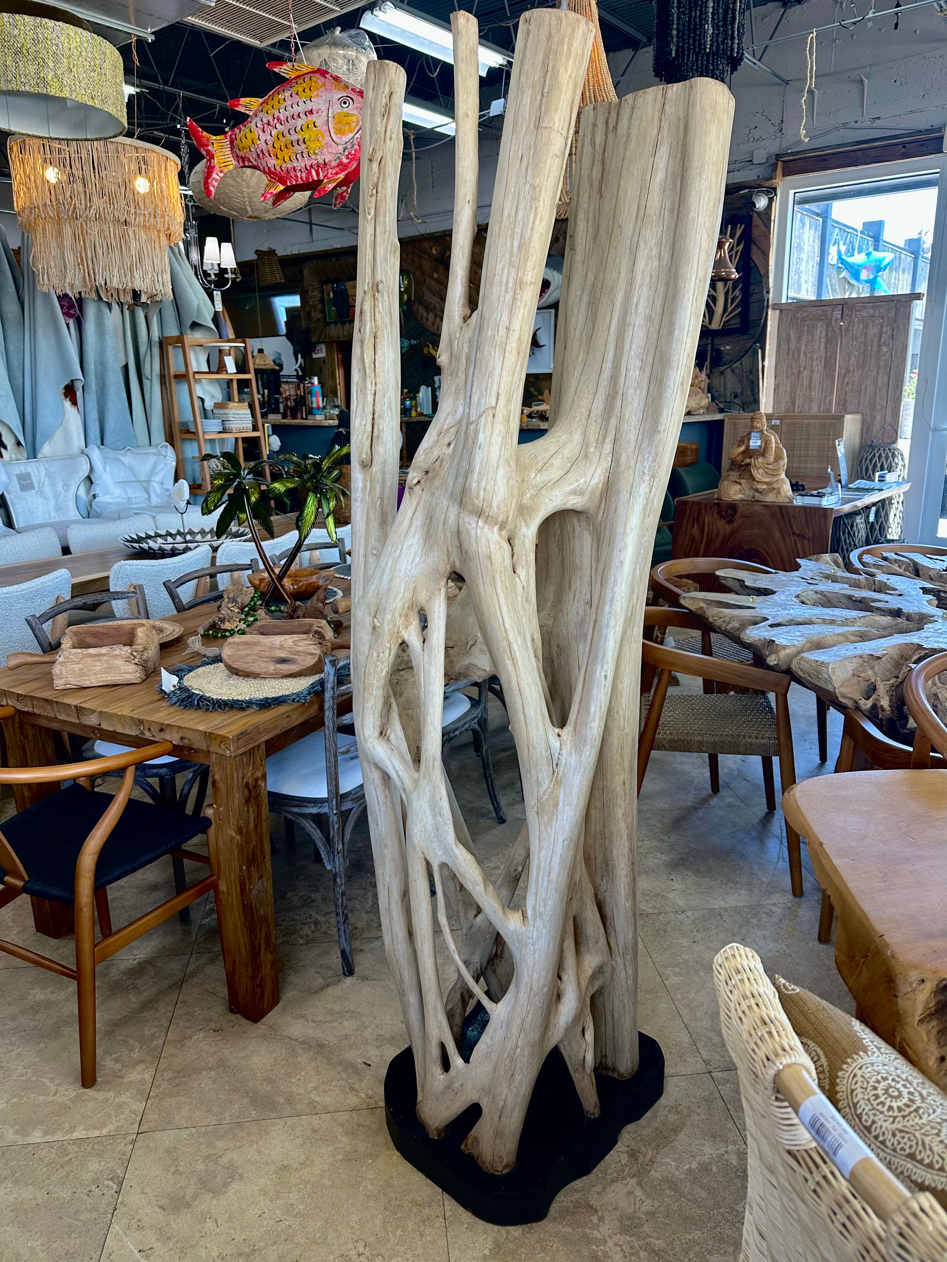 Bleached Banyan on Stand Anteak