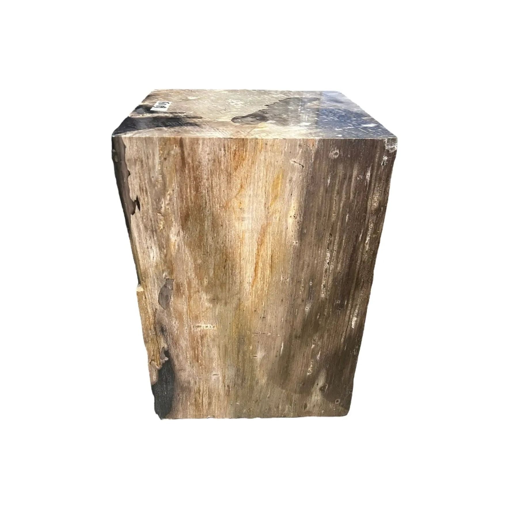 Petrified Wood Square Stool (H) Broward Design Center