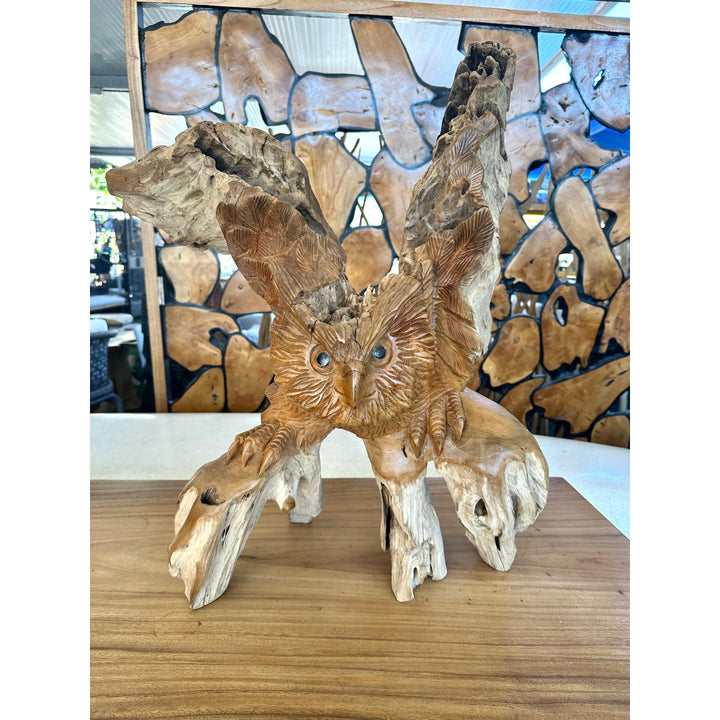 Teak Owl Anteak