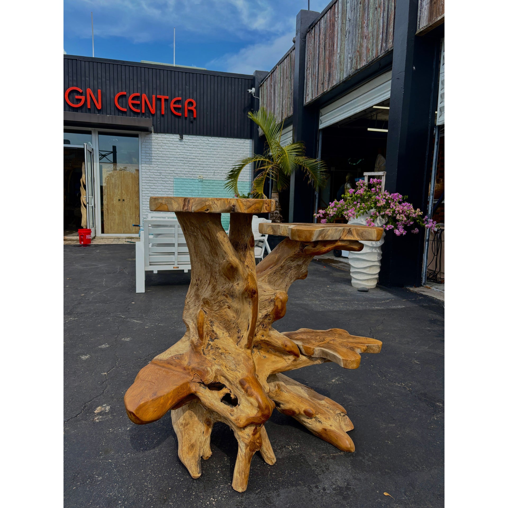 ORGANIC TEAK DISPLAY LARGE - B Anteak