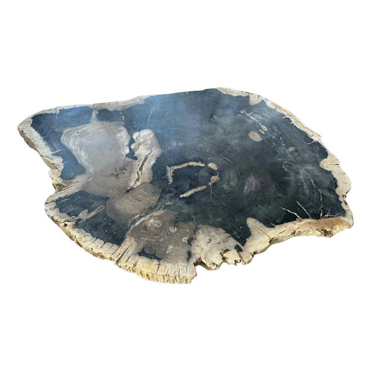 Petrified Wood Coffee Table Broward Design Center
