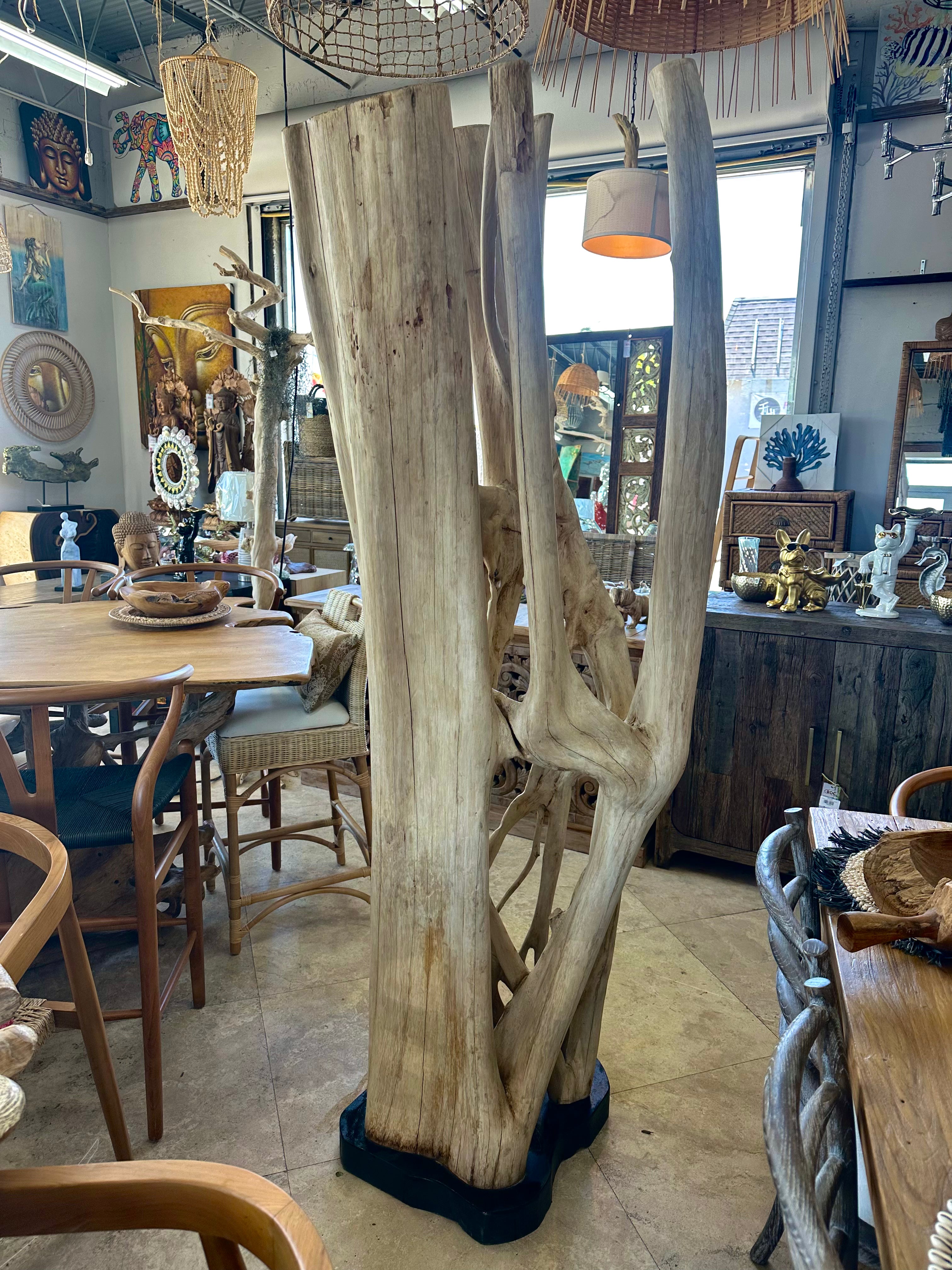 Bleached Banyan on Stand Anteak