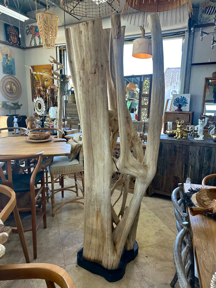 Bleached Banyan on Stand Anteak