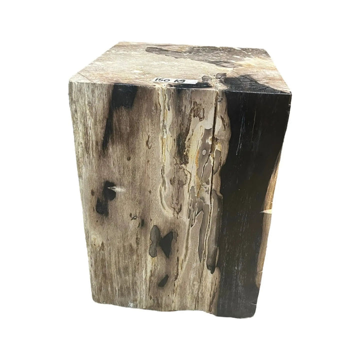 Petrified Wood Square Stool (H) Broward Design Center