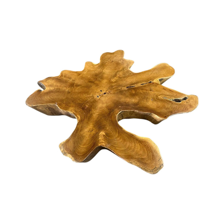 Teak Broward Design Center