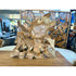 Teak Turtle 24” Anteak