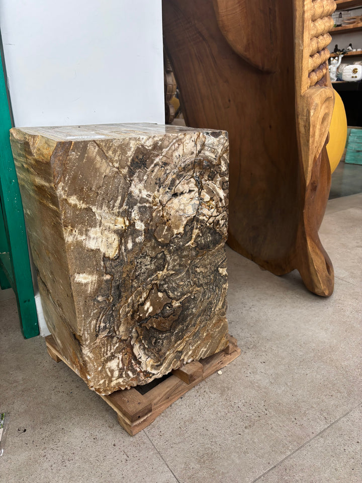 Petrified Wood Square Stool (E) Broward Design Center