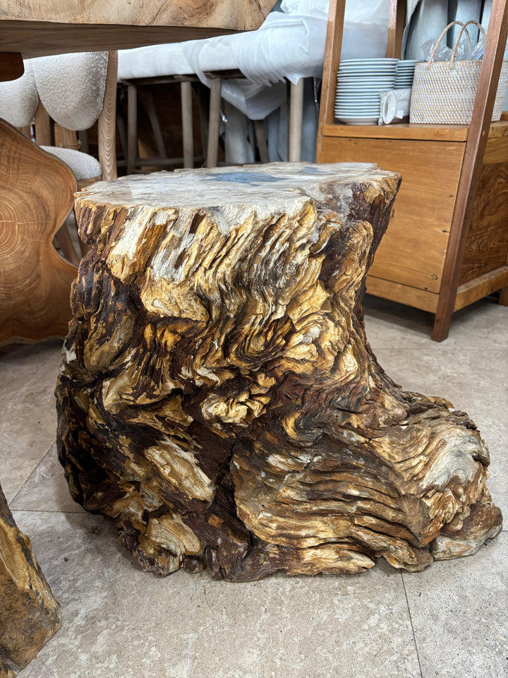 Petrified Wood Stump The Broward Design Center