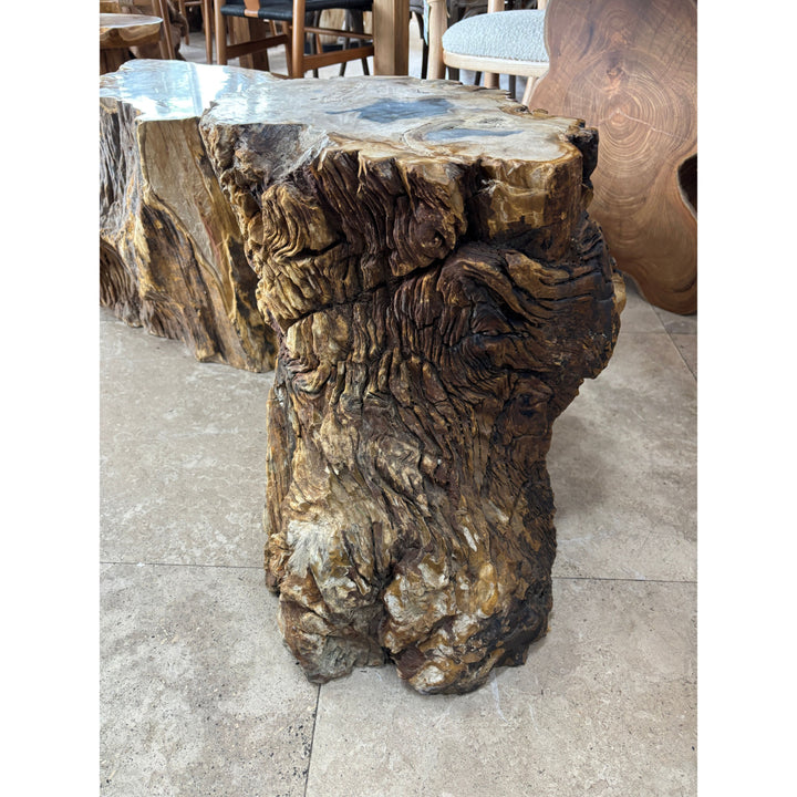 Petrified Wood Stump The Broward Design Center