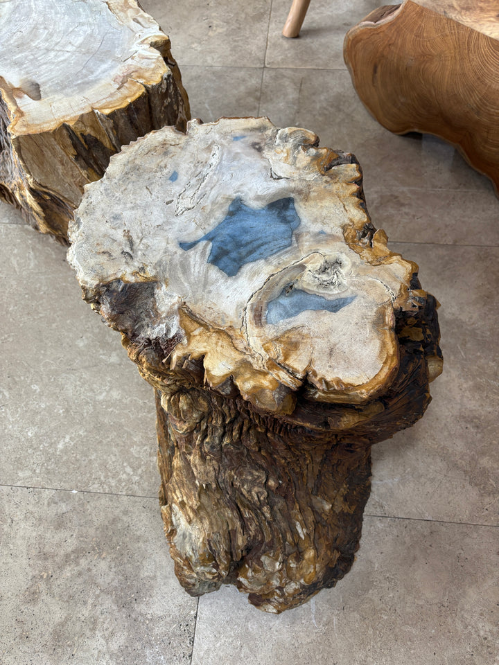 Petrified Wood Stump The Broward Design Center