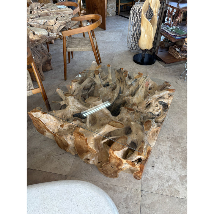 40” x 40” Teak Root Coffee Table The Broward Design Center