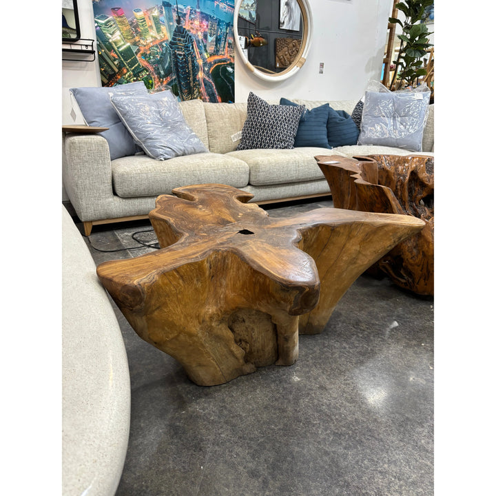 Teak Root Star Coffee Table (B) The Broward Design Center