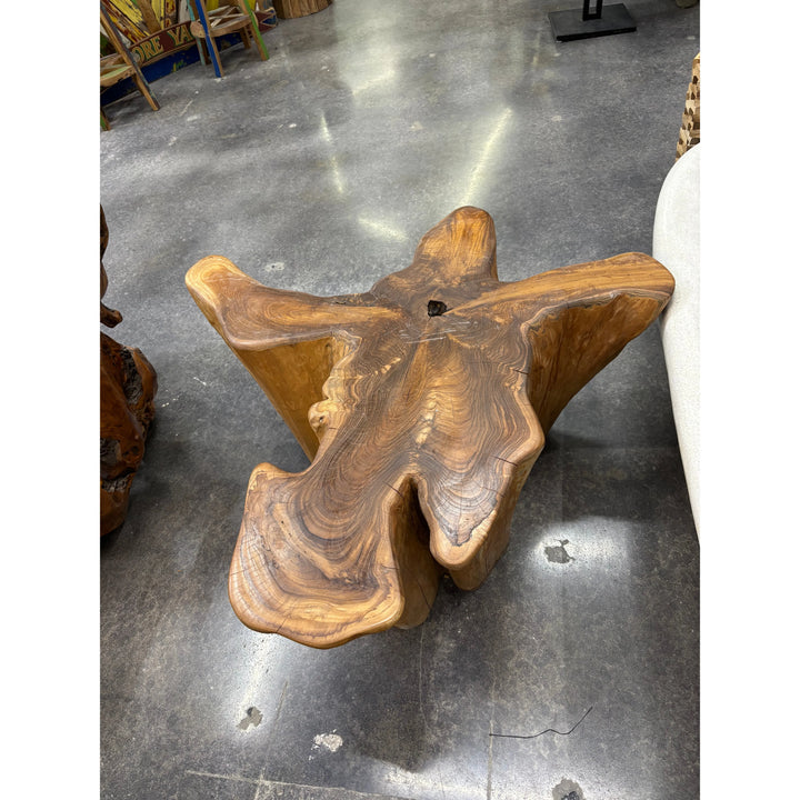 Teak Root Star Coffee Table (B) The Broward Design Center
