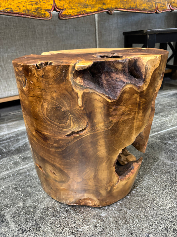 Teak Erosion Stump The Broward Design Center
