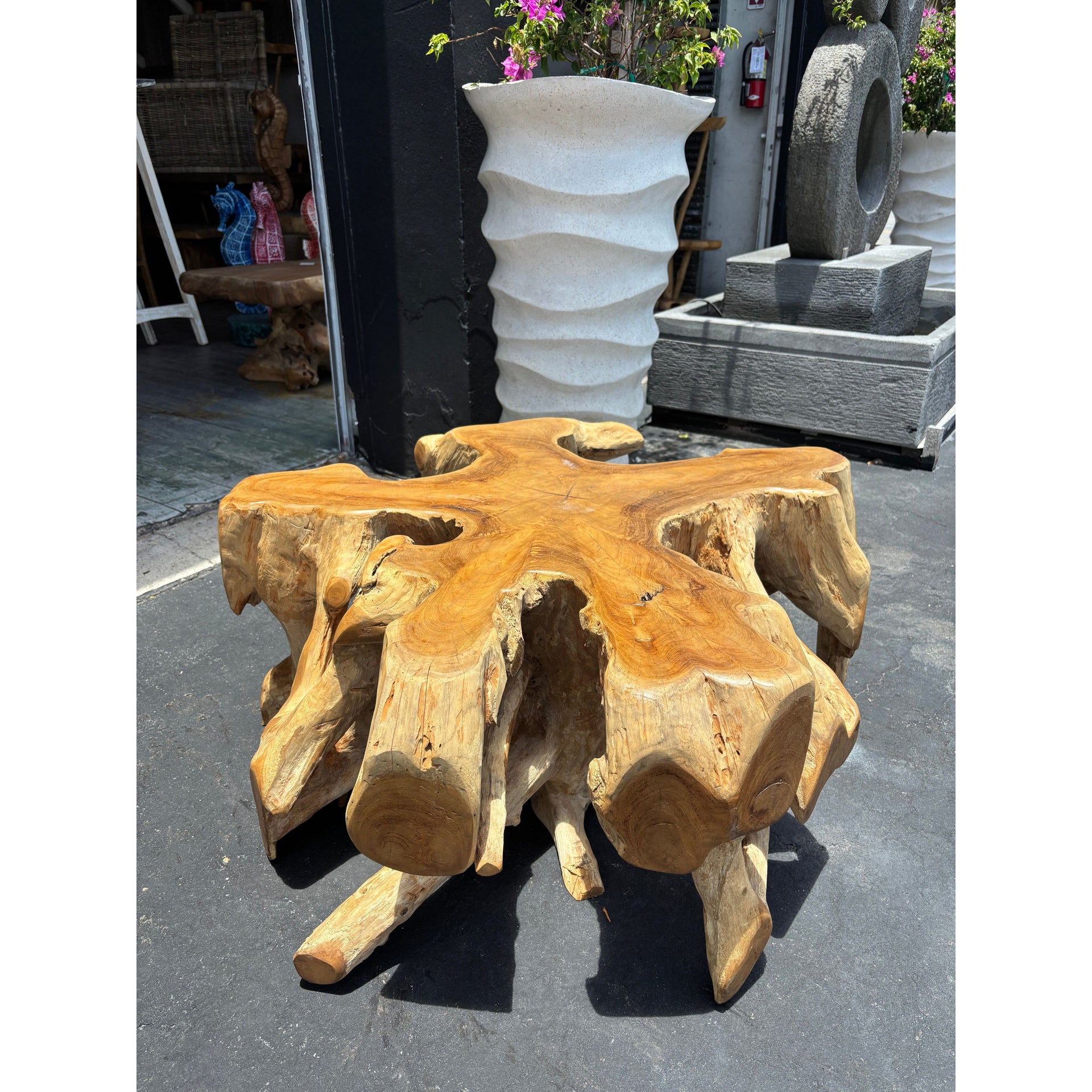 Teak Root Coffee Table (1) The Broward Design Center