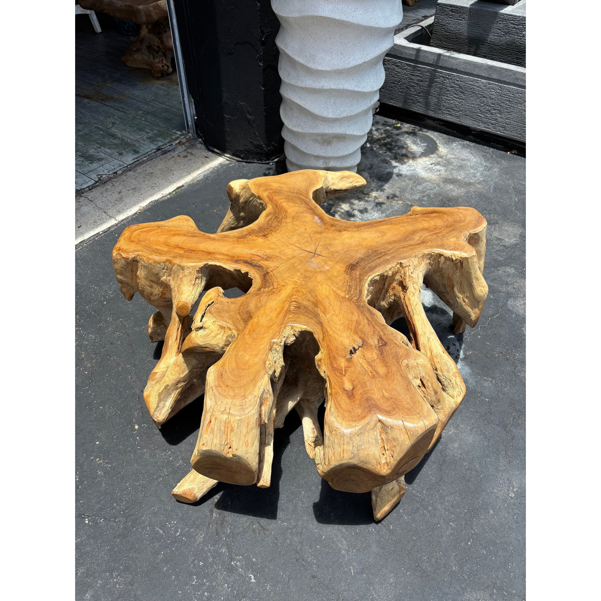 Teak Root Coffee Table (1) The Broward Design Center