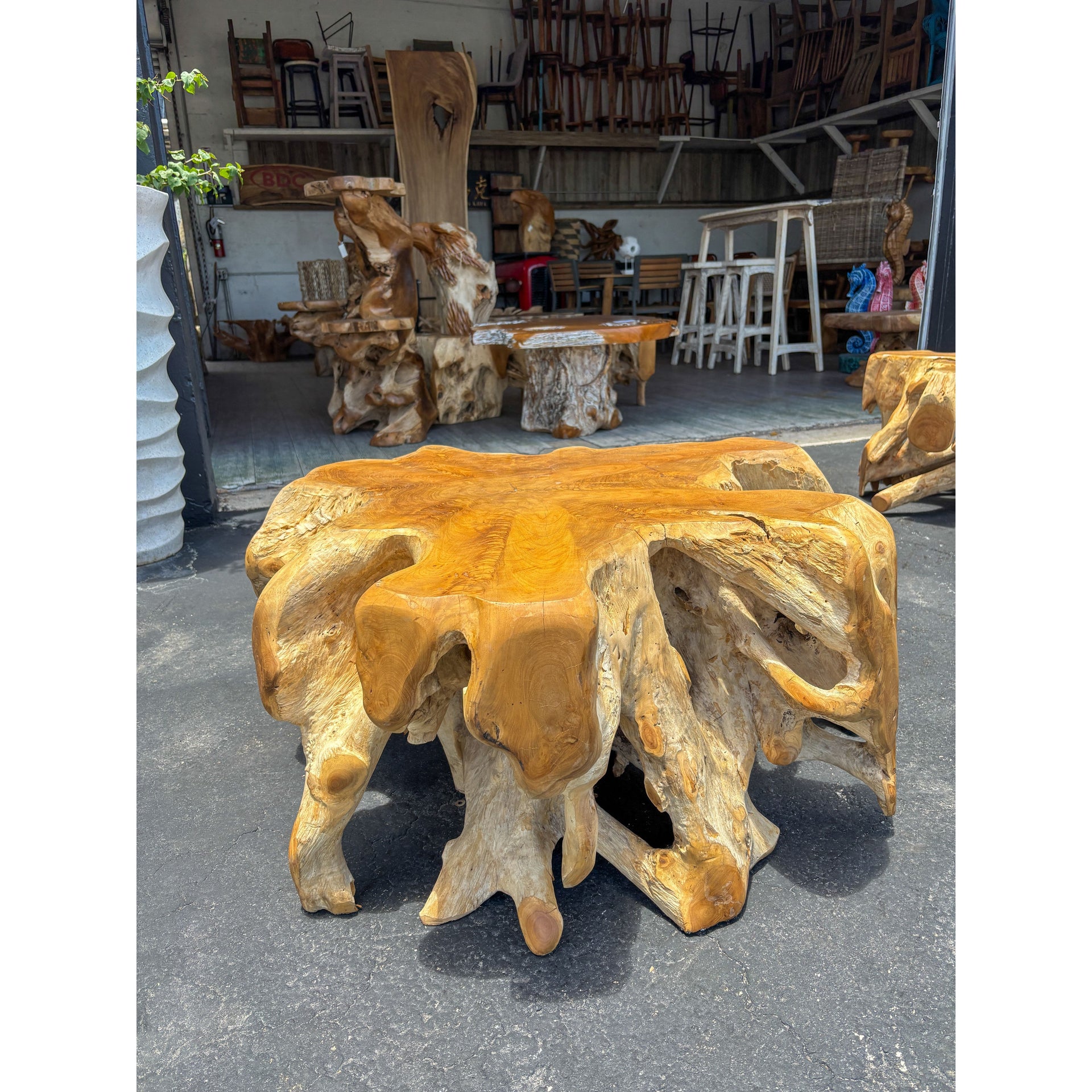 Teak Root Coffee Table (3) The Broward Design Center
