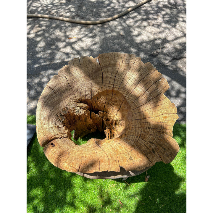 Carved Fish Pot The Broward Design Center