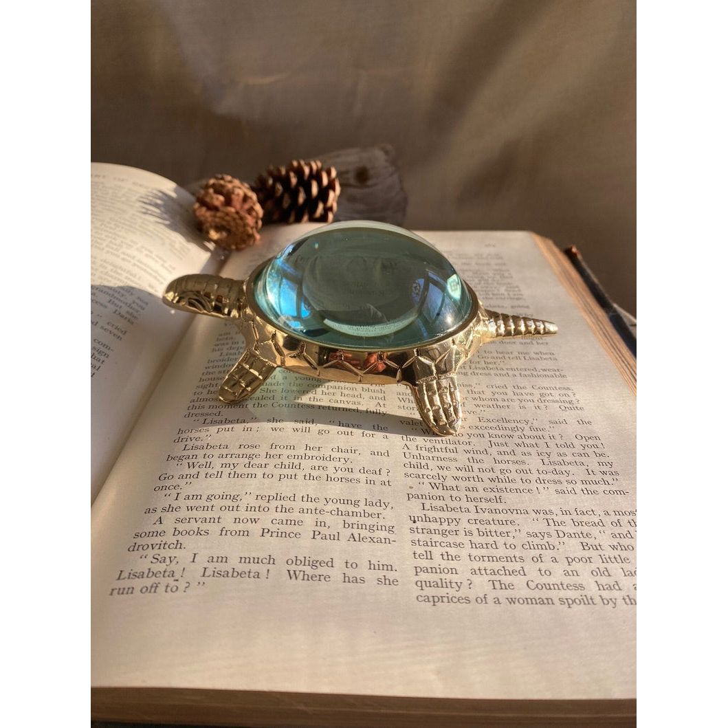 Brass Turtle Magnifier The Broward Design Center