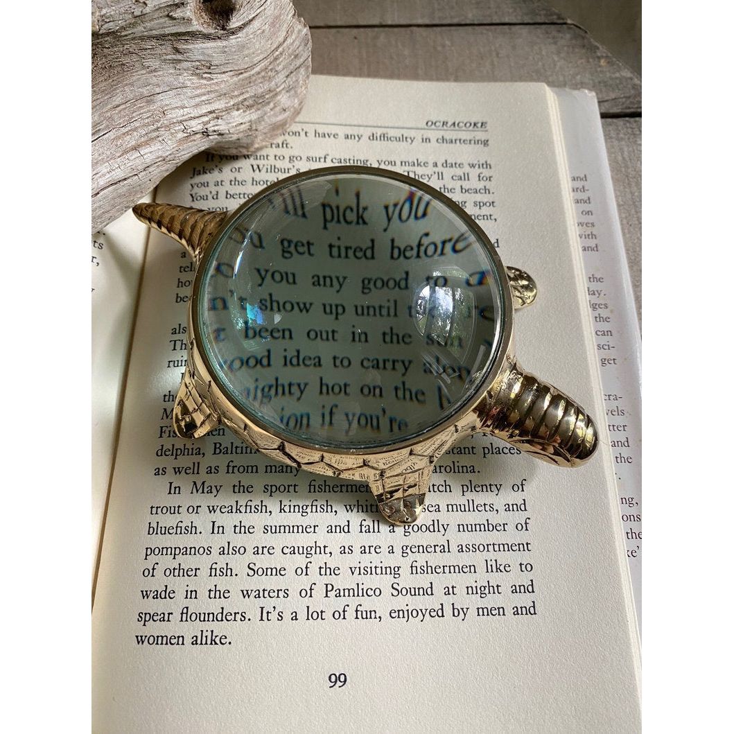 Brass Turtle Magnifier The Broward Design Center