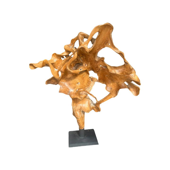 Teak Root Deco on a Stand Broward Design Center