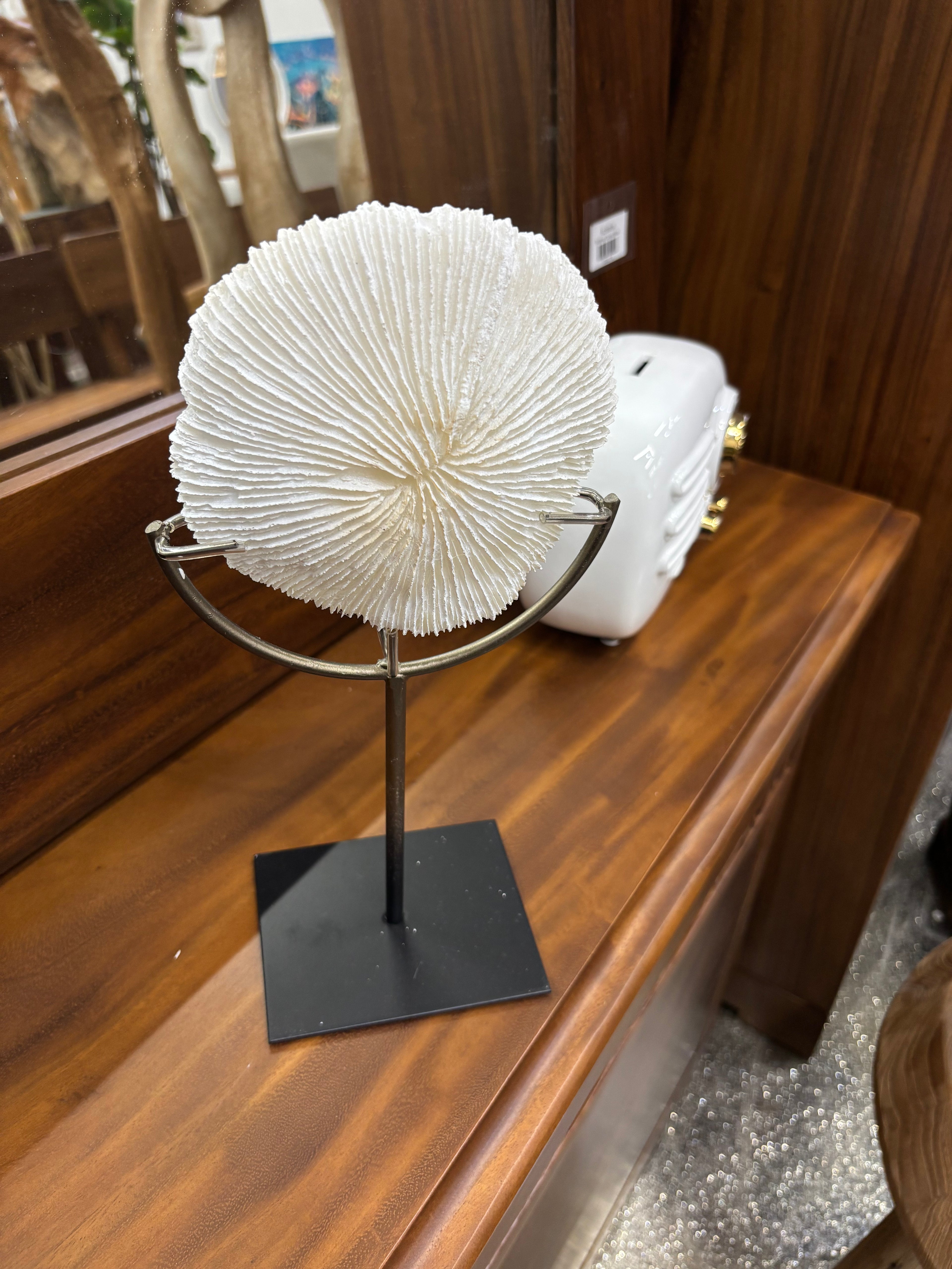 Polystone Coral on Stand UMA