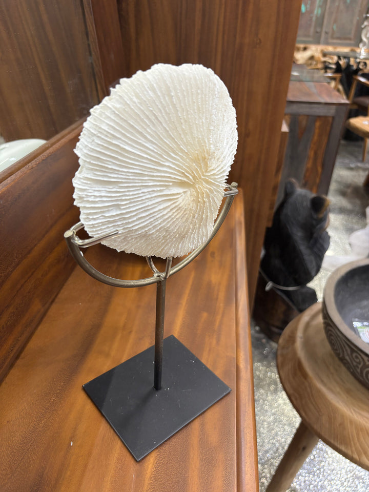 Polystone Coral on Stand UMA