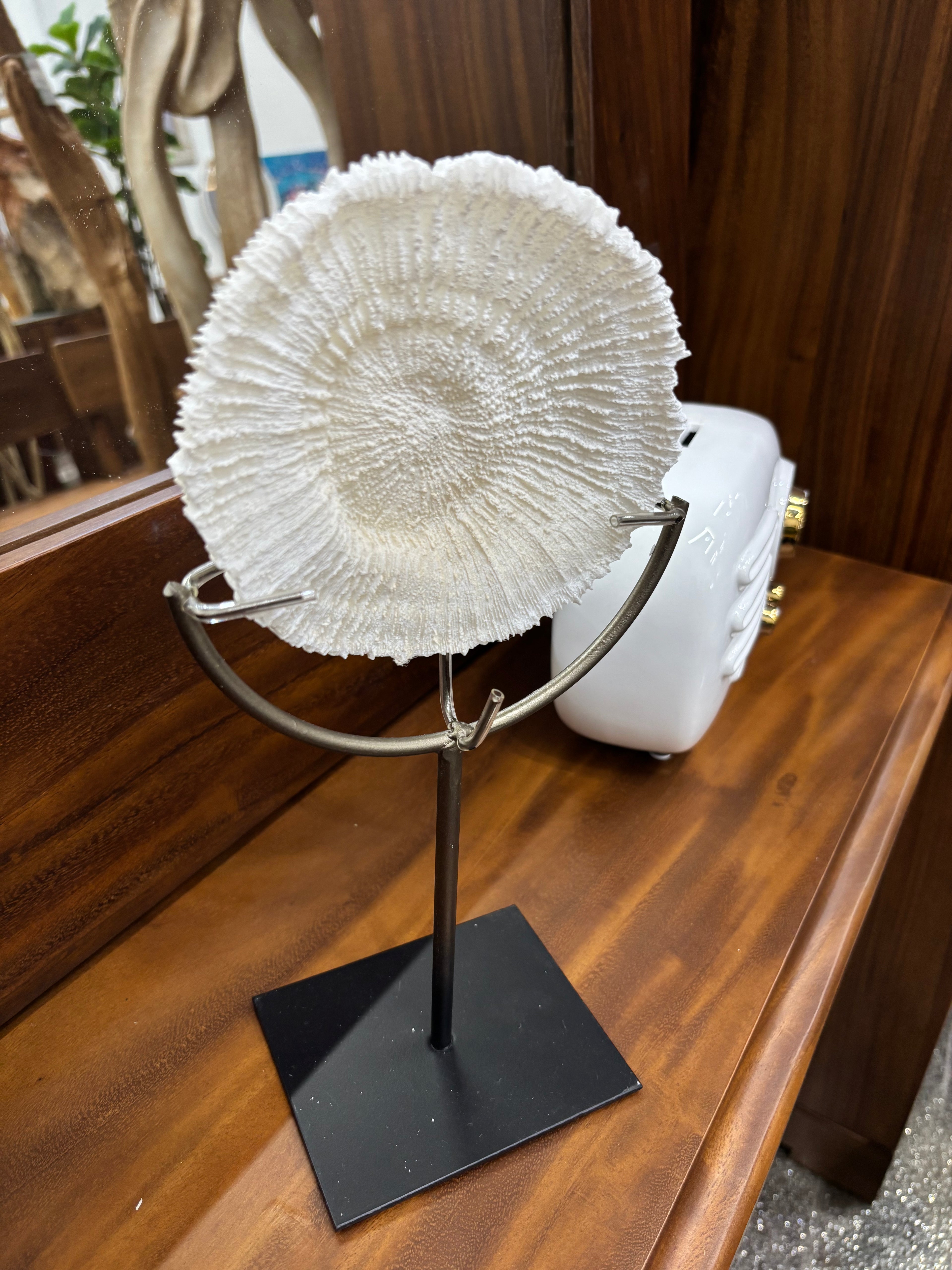 Polystone Coral on Stand UMA