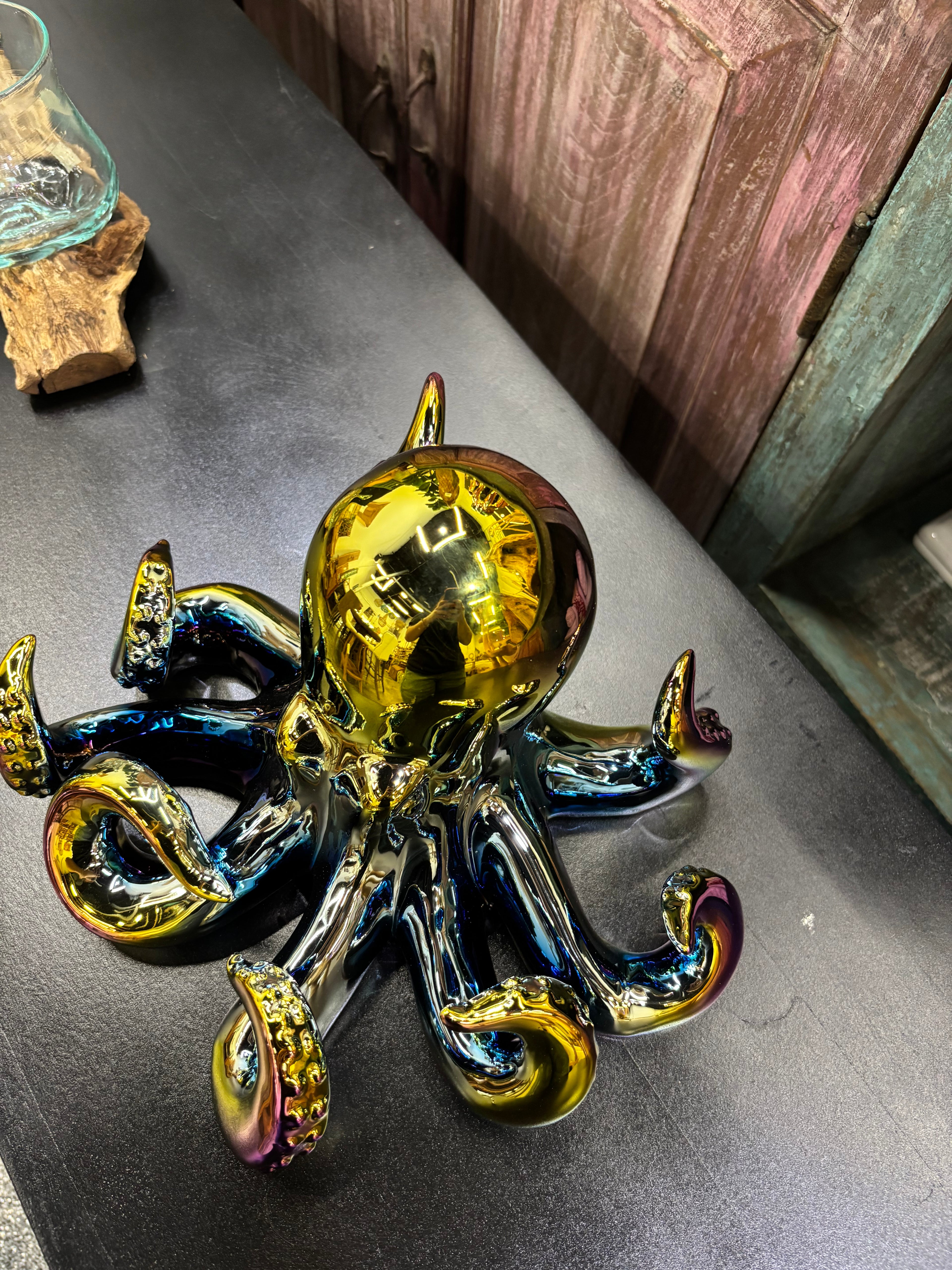 Multi Colored Ceramic Octopus UMA
